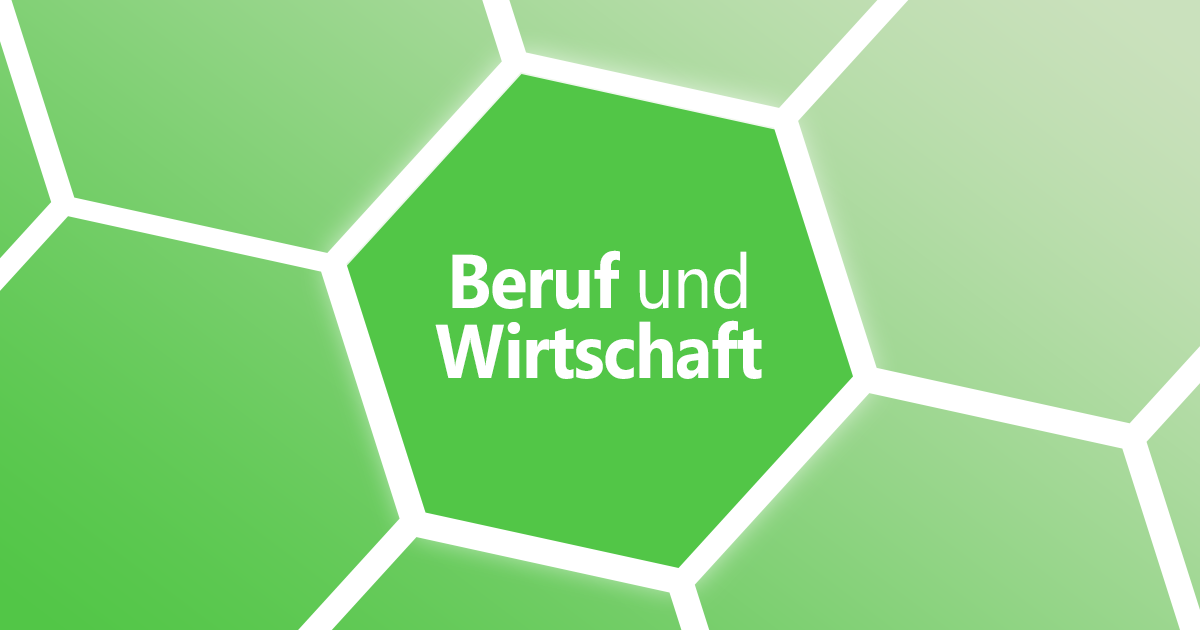 Didaktik Beruf Und Wirtschaft - Institut Für Politikwissenschaft Und ...